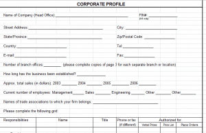 Corporate Profile Template - Microsoft Excel Download