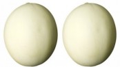 two melons 300×200 174×98
