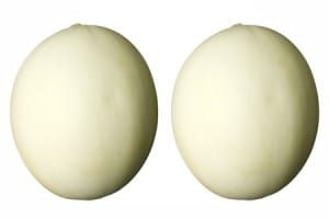 two melons 300×200 300×200